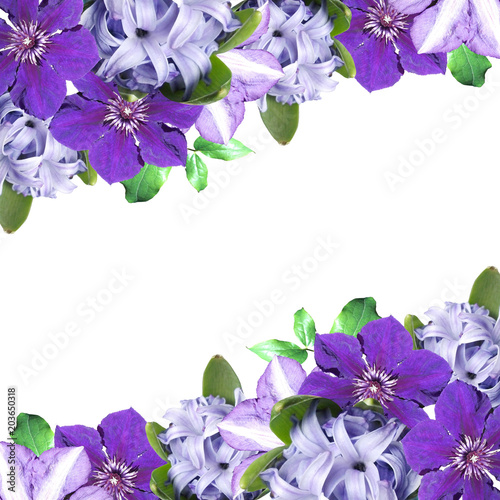 Beautiful floral background of clematis and hyacinth 