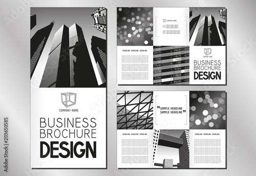 Business trifold brochure/ flyer template (A4 to DL format - 3 x