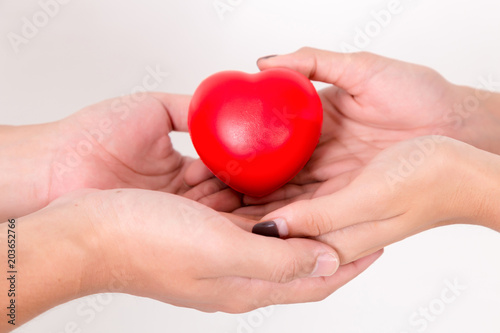 Heart in hands of couple love. Isolated on white background. Studio lighting.