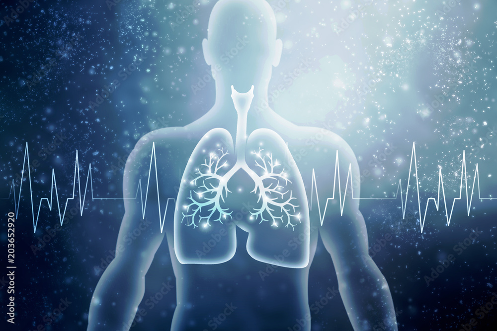 Healthy Human Lungs 2d illustration Healthy Human Lungs 2d illustration