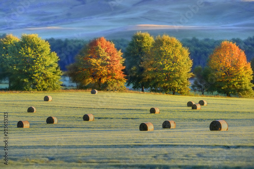 HAYBALES and autumn colours in the Underberg countryside, Kwazulu Natal, South Africa.  photo
