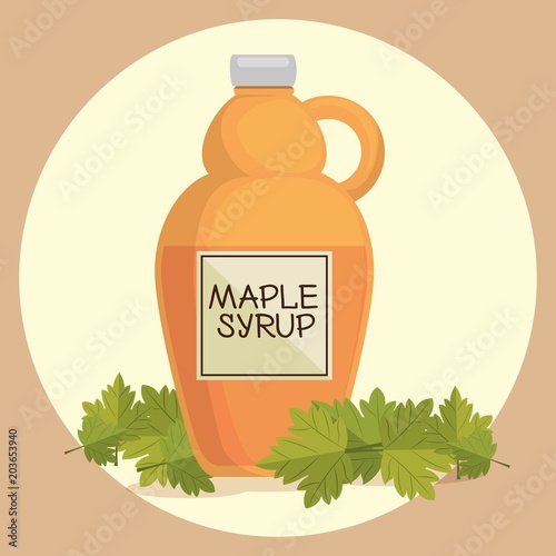 maple syrup canadian product vector illustration design photo