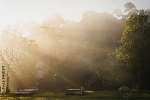 The morning sun on a foggy in the campinh site at Khao Yai National Park, Thailand.