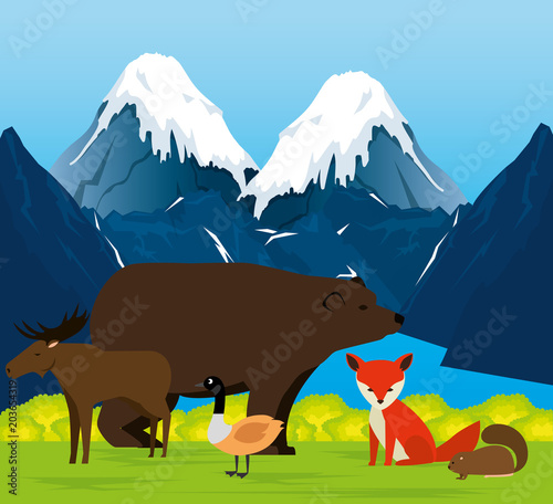 canadian landscape with animals group scene vector illustration design