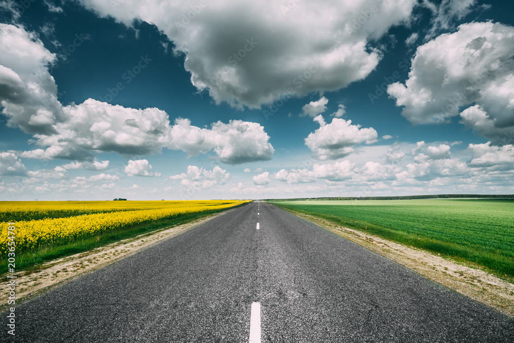 Asphalt Countryside Road Through Fields With Yellow Flowering Canola Rapecolza Canola In Spring