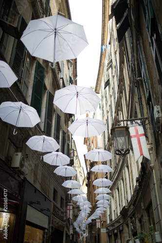 Genova ombrelli appesi