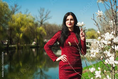  beautiful young brunette with long hair in a park on a spring in spring among flowering trees in a red dress in hands holds magnolia flowers