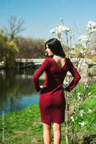  beautiful young brunette with long hair in a park on a spring in spring among flowering trees in a red dress in hands holds magnolia flowers