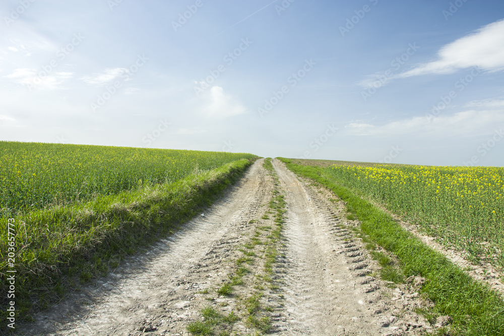 Dirt road up through the fields