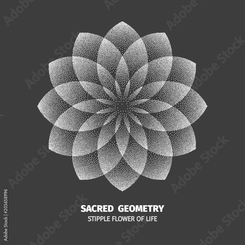 Abstract dot symbol sacred geometry phyllotaxis. Isolated halftone symbol. Opposite spirals vector illustration EPS 10