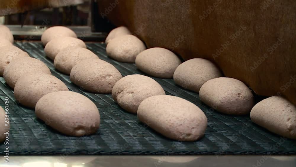 Bakery. Production of bread. Conveyor. Dough. Pastries. Bake. Bakery. Production of bread. Conveyor. Dough. Pastries. Bake.