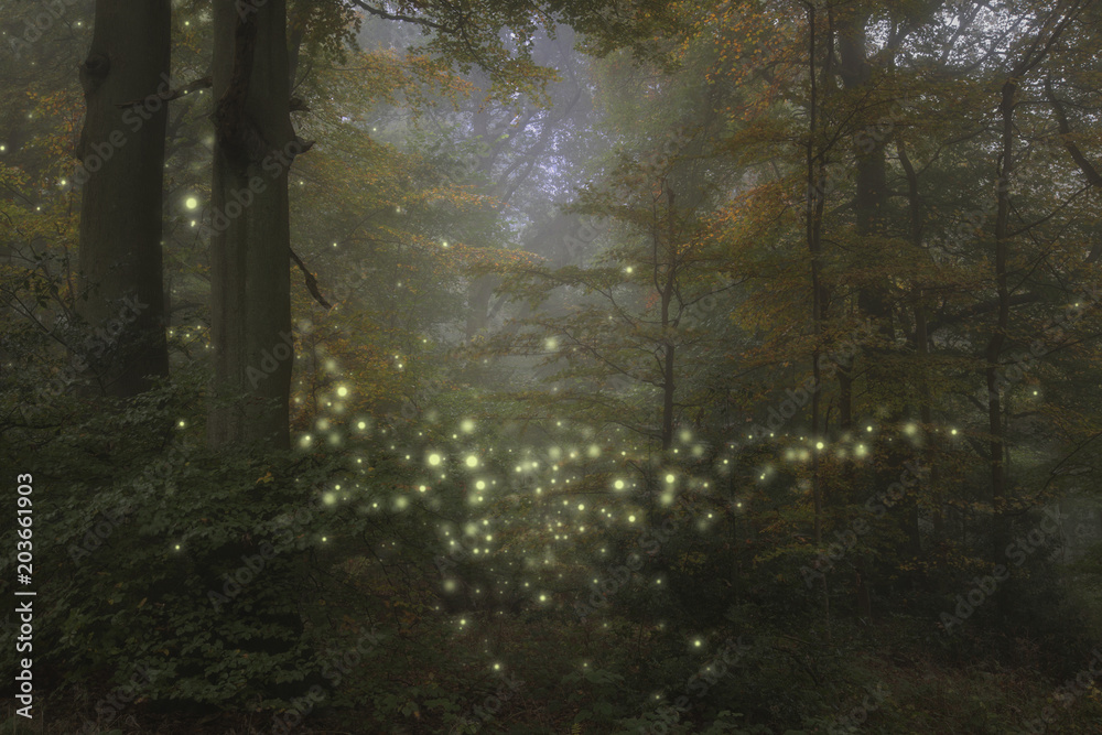 Stunning fantasy style landscape image of fireflies in night time forest scene