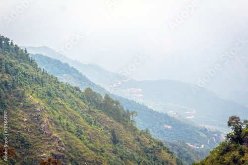 mountain forests covering by fog : wallpaper greenery in india