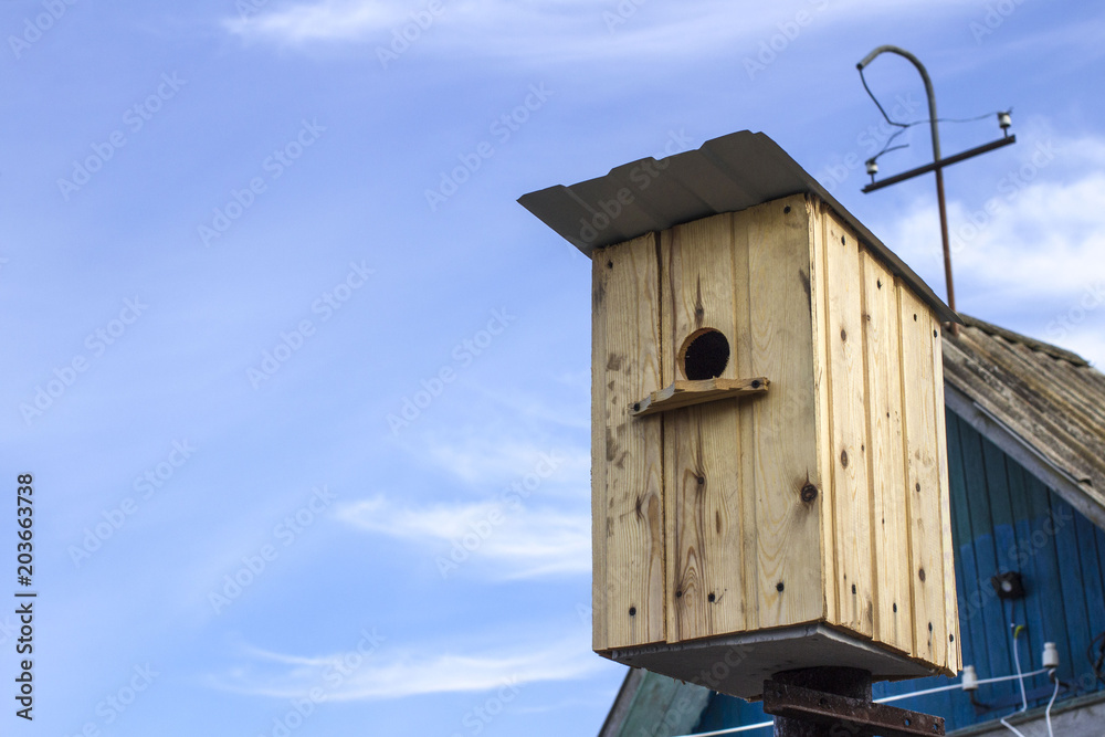 Starlings flew in, they populate the birdhouses Starlings flew in, they populate the birdhouses