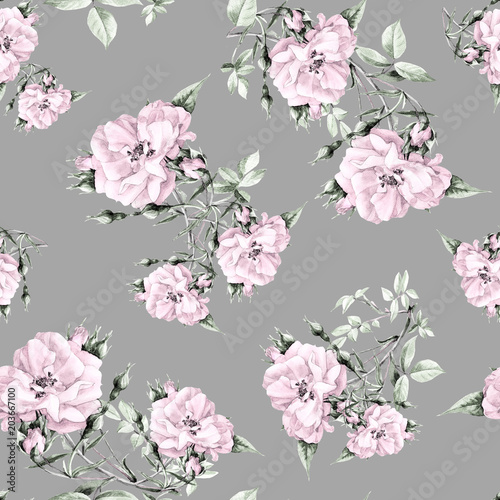 Seamless pattern of roses painted in watercolor. © Svitlana