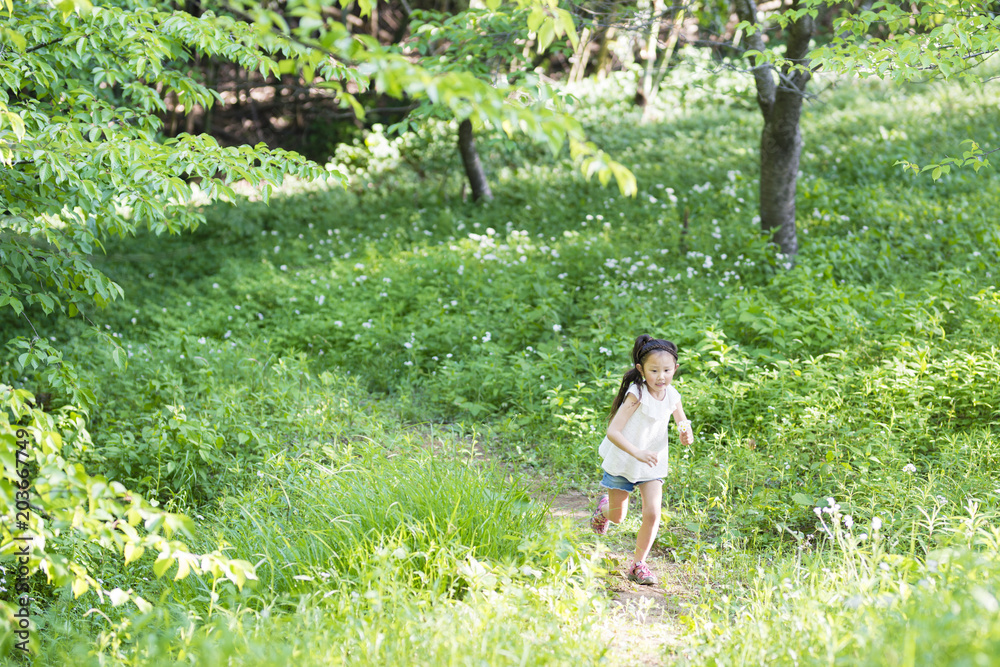 森の小道を歩く女の子 森の小道を歩く女の子