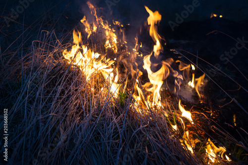 Fire, Burning old grass in the field
