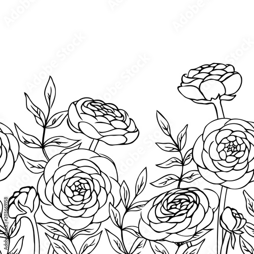 vector contour ranunculus flowers seamless horizontal pattern