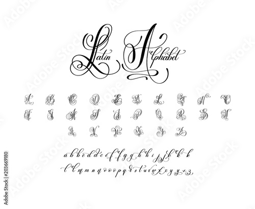 hand written luxury latin alphabet design