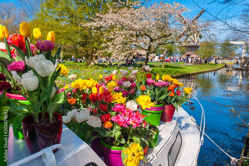Boat with Flower Pots at Keukenhof Gardens Netherlands in springtime