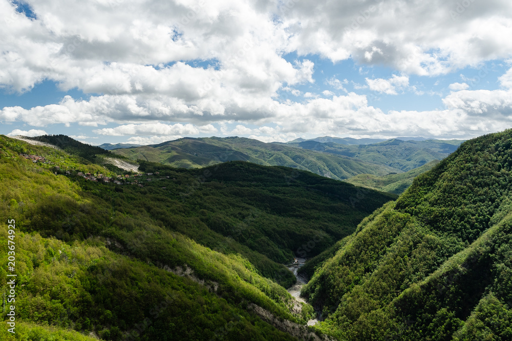 Obraz premium OLYMPUS DIGITAL CAMERA