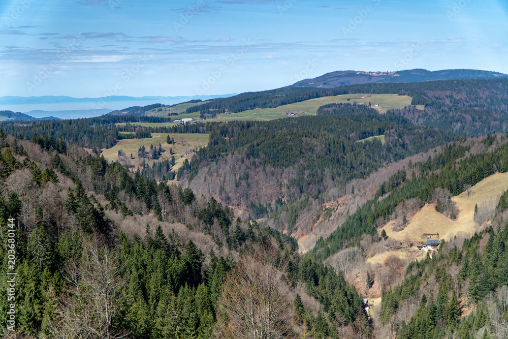Panorama Aussicht Schwarzwald Frühjahr
