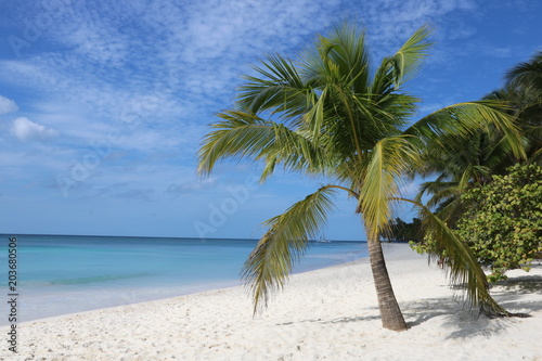 Isla Saona_Caribbean Sea_Karibik_Dominikanische Republik_Strand_Paradies_Blaues Wasser_Meer_Palmen.