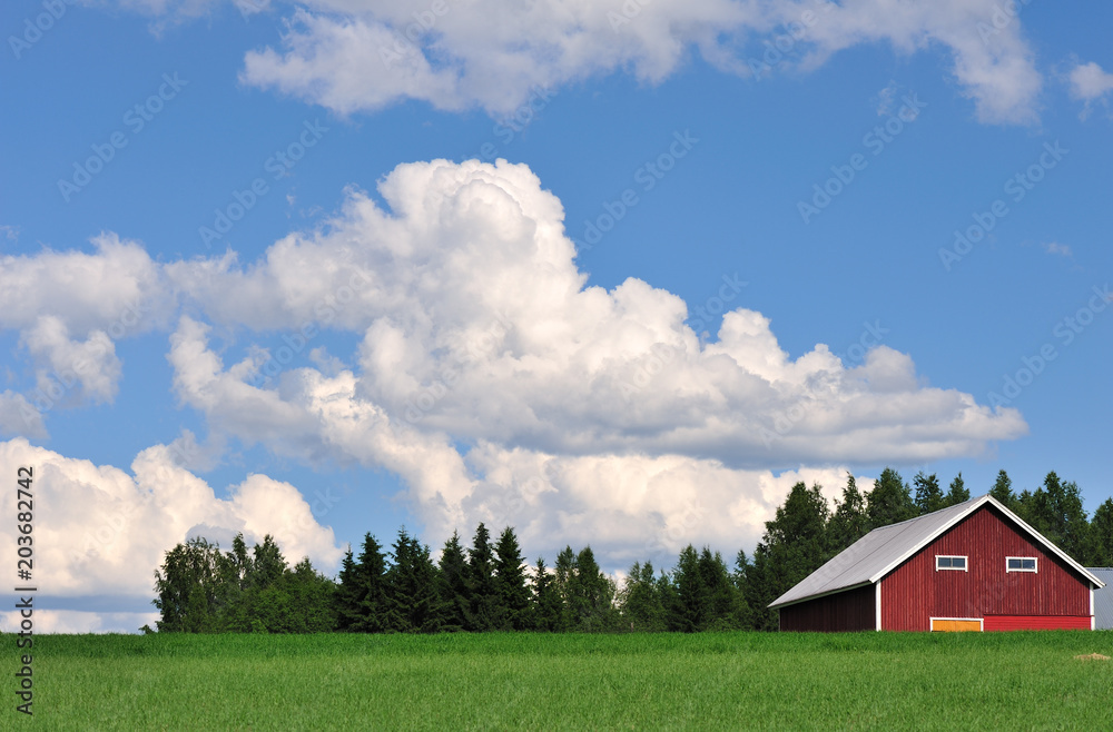 Finnish countryside with barn in the field. Cumulus clouds in the sky. Finnish countryside with barn in the field. Cumulus clouds in the sky.