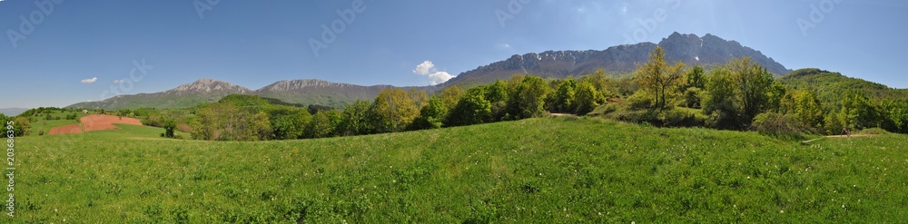 Beautiful green meadow under mountain. Spring panorama, rural scene