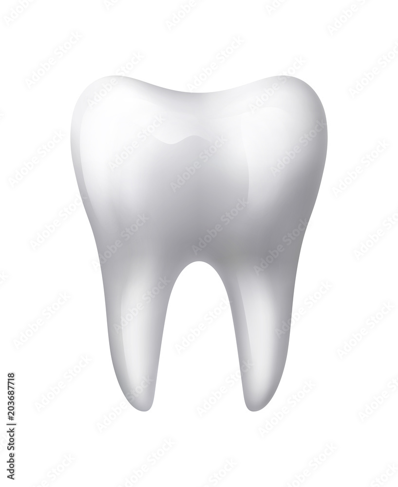 Isolated Human Tooth Isolated Human Tooth