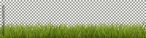 Isolated Green Grass