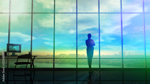 A silhouette of the business lady