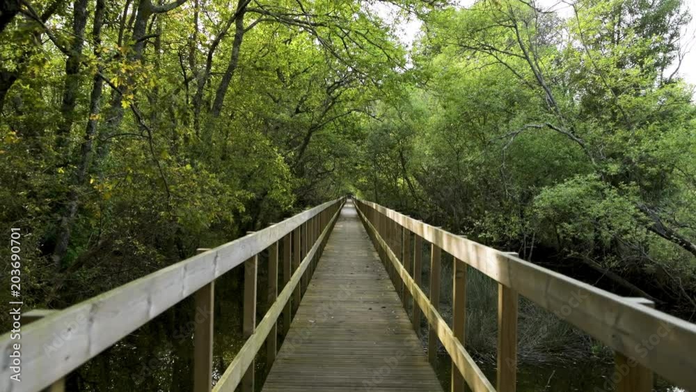 Wooden pathway in Lagoas de Bertiandos natural park, Ponte de Lima - Portugal. Wooden pathway in Lagoas de Bertiandos natural park, Ponte de Lima - Portugal.
