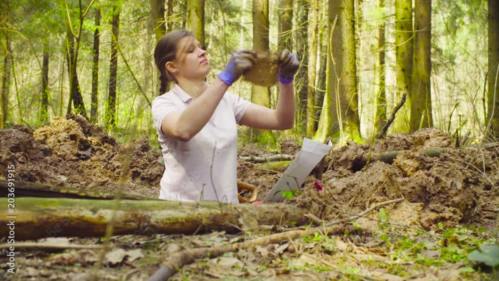 Woman ecologist in the forest taking a sample of tissue from the ground and putiing it in the envelope Woman ecologist in the forest taking a sample of tissue from the ground and putiing it in the envelope