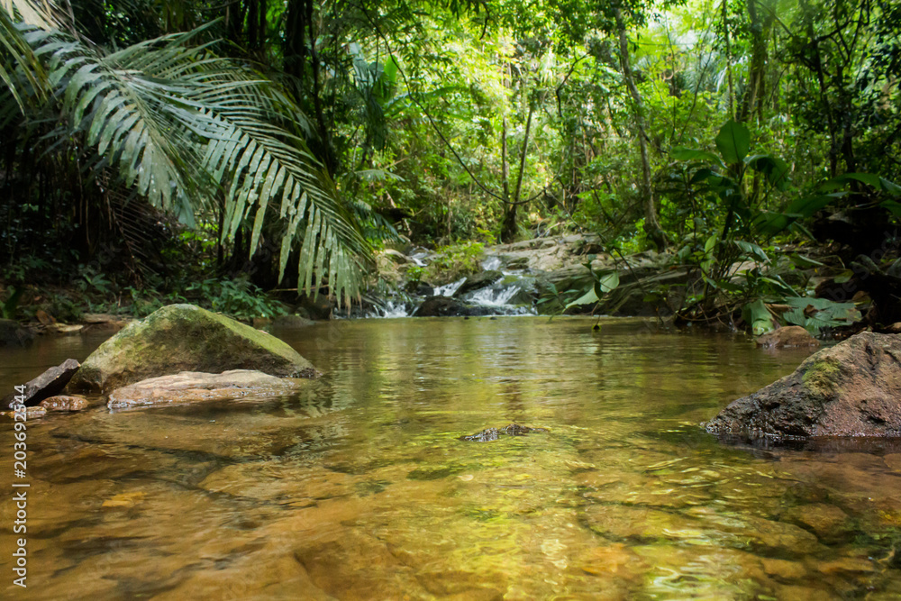 Fototapeta premium Waterfall Ton Sai in the forest phuket Thailand. Tropical zone Thailand Southern