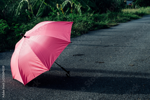 Pink umbrella on concrete floor and green grass field in the park.  lonely concept.  copy space for text.