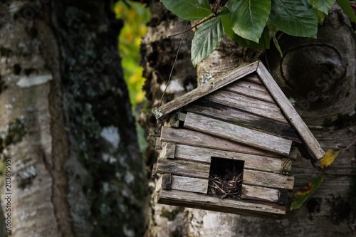 Wooden damaged birdhouse hanging at an angle on tree. Insurance claim, poor house concept