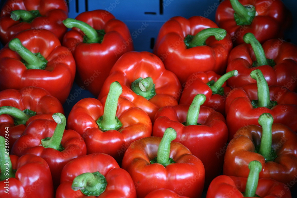 rote Paprika auf dem Wochenmarkt rote Paprika auf dem Wochenmarkt