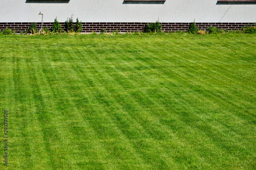 Zielony skoszony trawnik przed białym domem z podmurówką. - obrazy, fototapety, plakaty 