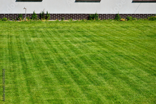 Zielony skoszony trawnik przed białym domem z podmurówką. photo
