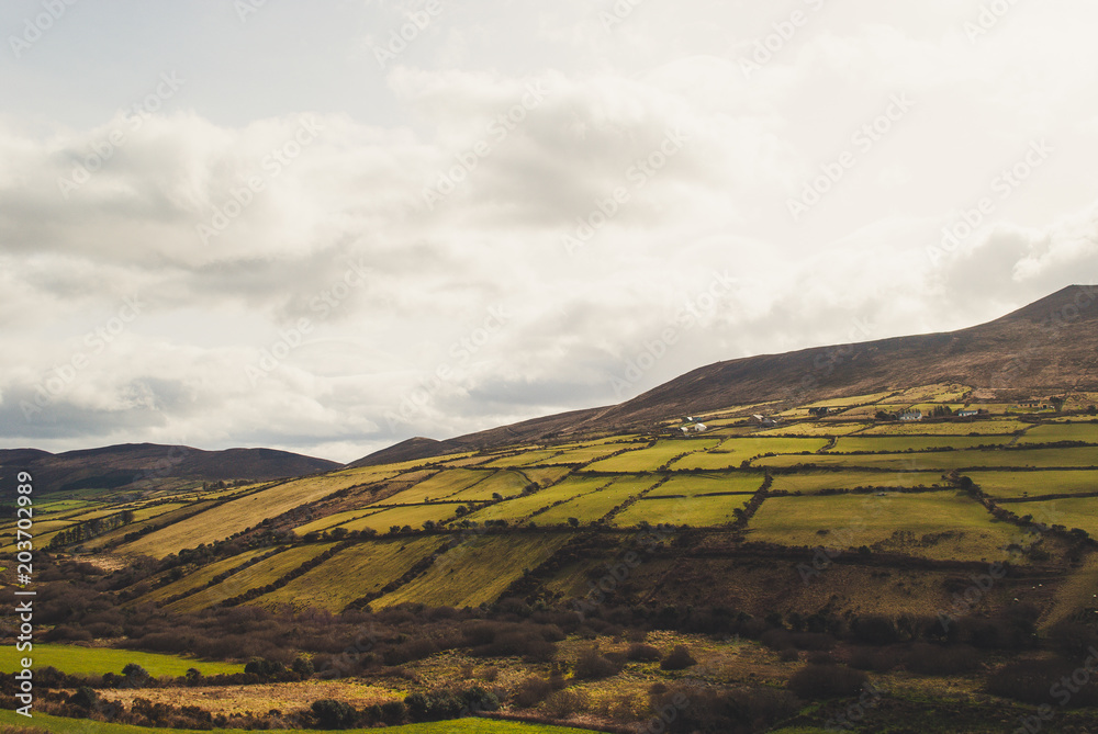 Irish Landscape 5