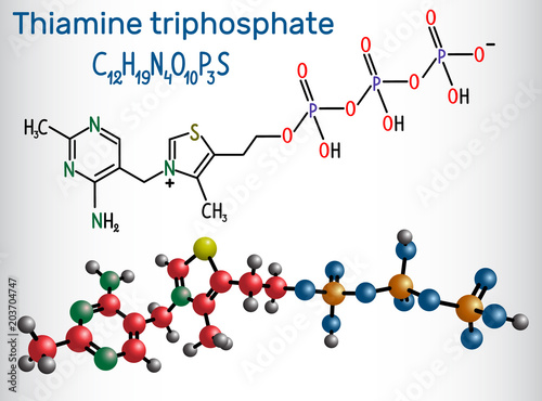 Thiamine triphosphate (ThTP), it is the triphosphate derivative of the vitamin thiamine.  Structural chemical formula and molecule model