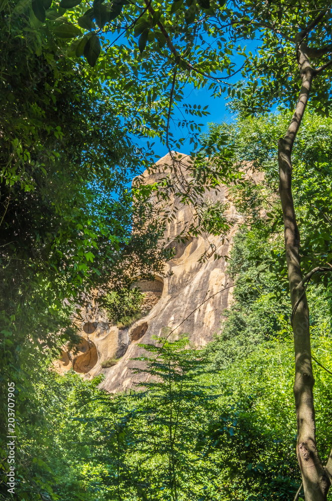 Anja Community Reserve, sheltered forest habitat among vast boulders with rich wildlife. It is home to the highest concentration of maki, or ring-tailed lemurs, in Madagascar. Anja Community Reserve, sheltered forest habitat among vast boulders with rich wildlife. It is home to the highest concentration of maki, or ring-tailed lemurs, in Madagascar.