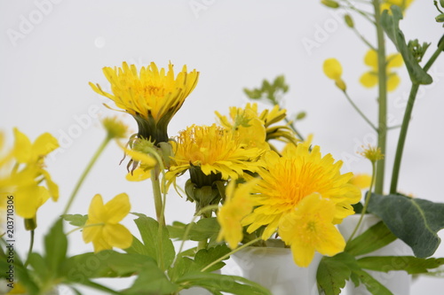 Fototapeta Naklejka Na Ścianę i Meble -  gelbe Wiesenblumen in styler Vasen Kombination