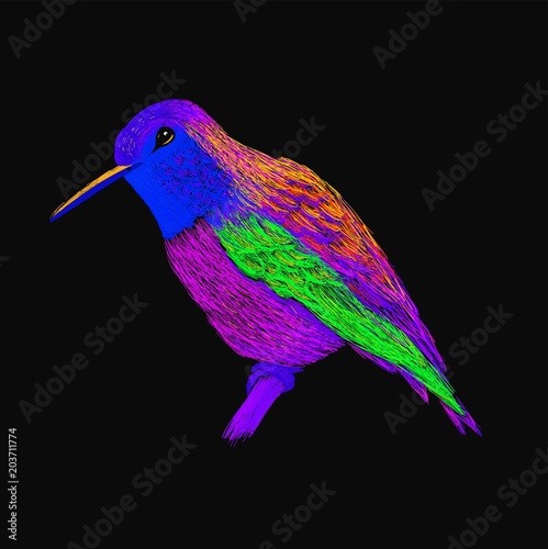 Hummingbird with colorful glossy plumage. Modern pop art style. Colorful bird, black background. Vector illustration of colibri for greeting card,invitation,print,web project. Bright and vivid colors.