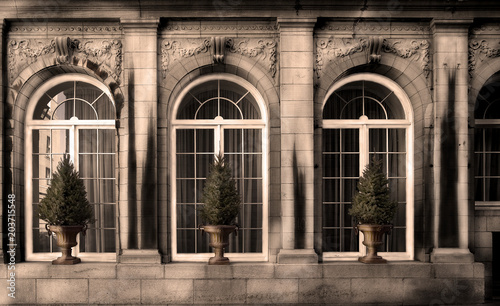 Three vintage design windows on the facade of an old house, with small trees.