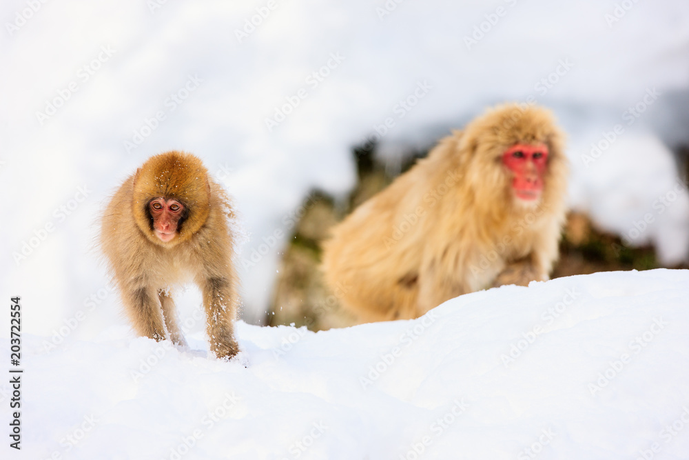 Naklejka premium Idyllic beach at Caribbean