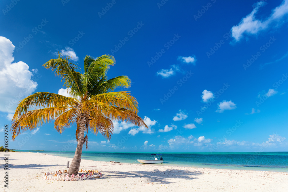 Obraz premium Idyllic beach at Caribbean