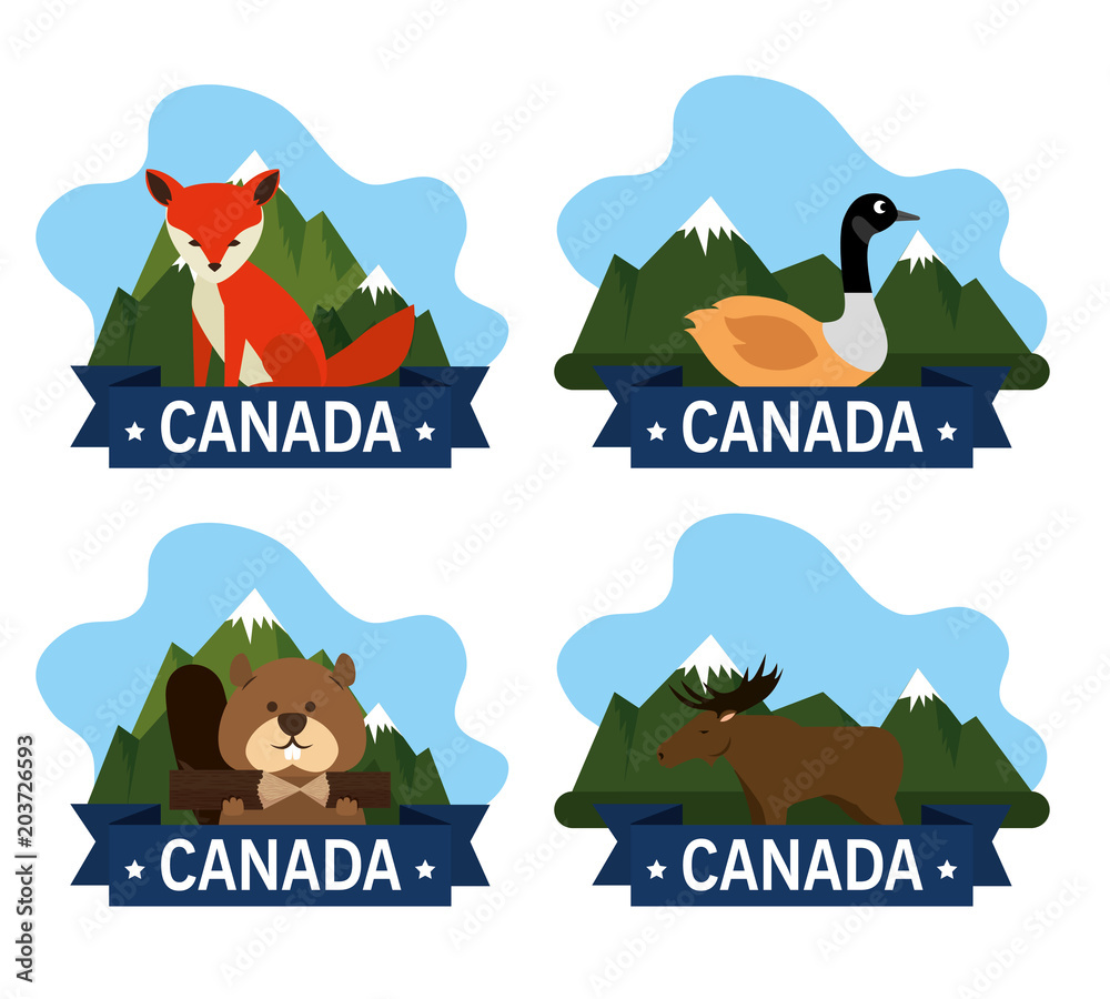 Fototapeta premium canadian culture group of animals vector illustration design