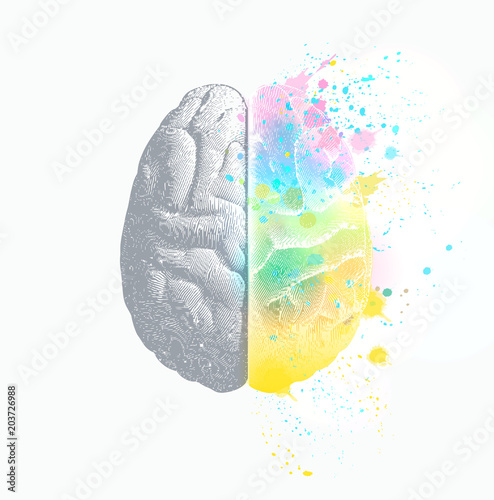 Right brain fuction present isolated on white BG